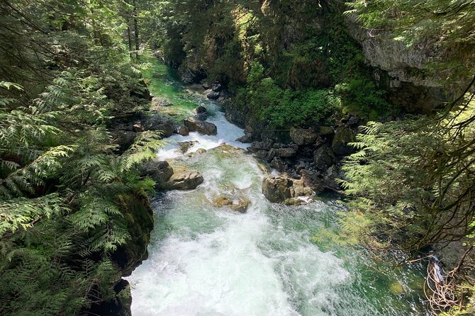 Vancouver Rainforest Hike with Waterfalls, Suspension Bridge, Old Growth Forest - Twin Falls and the Creek Trail