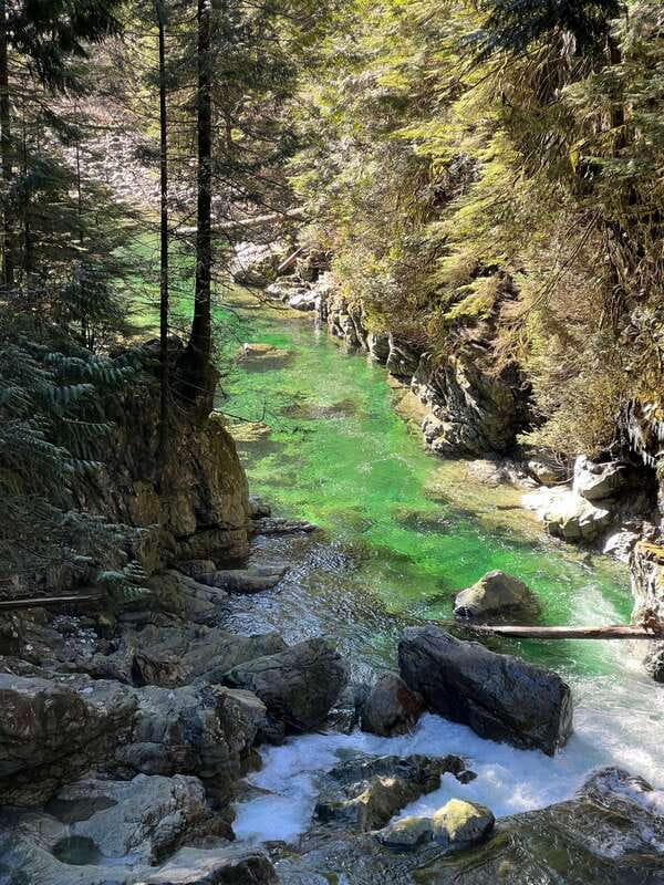 Vancouver: Rainforest Waterfall Hike and Suspension Bridge - Key points at a glance