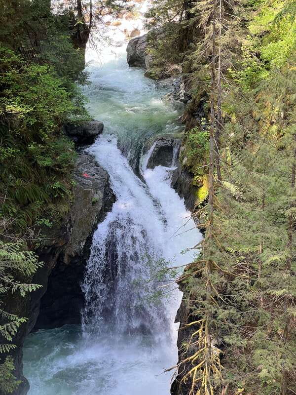 Vancouver: Rainforest Waterfall Hike and Suspension Bridge - What the $62 price buys you