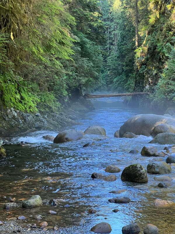 Vancouver: Rainforest Waterfall Hike and Suspension Bridge - Rain changes the mood, not necessarily the value