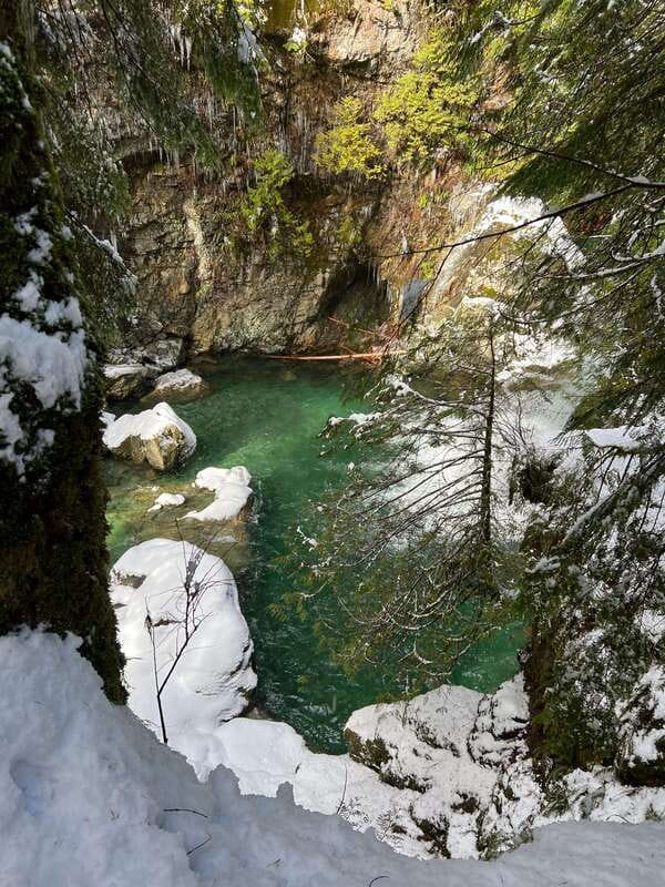 Vancouver: Rainforest Waterfall Hike and Suspension Bridge - Hotel pickup makes the morning easier