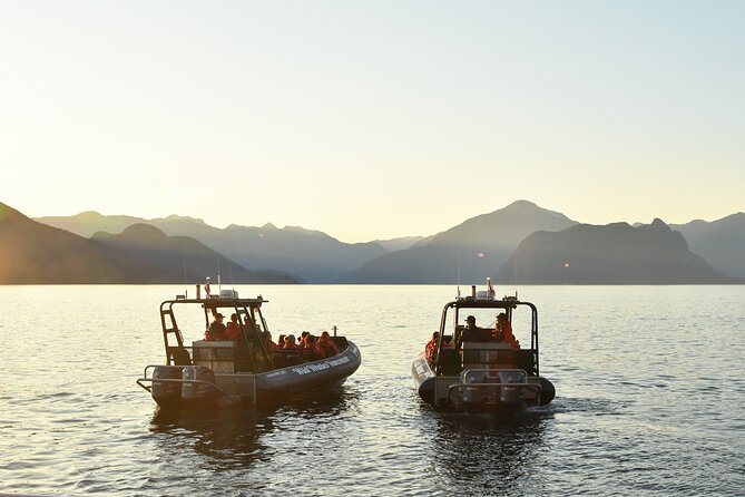 Vancouver's Intimate West Coast Whale Watching Experience - Who should book this outing