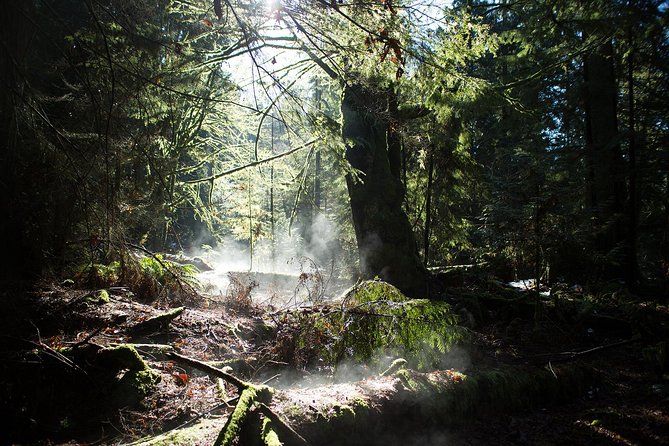 Vancouver Secrets of Stanley Park Walking Tour - Is $29.29 good value?