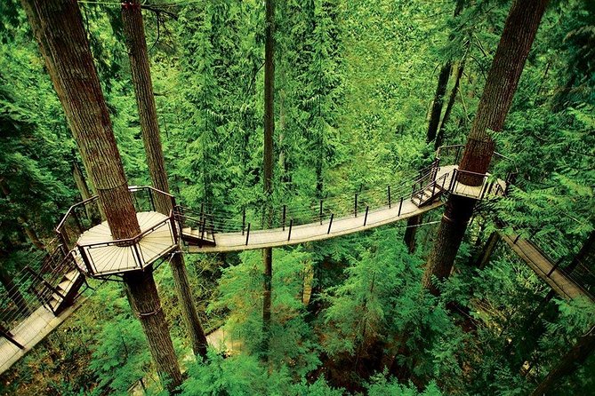 Vancouver Sightseeing and Suspension Bridge Small Group Tour - What this five-hour tour is really designed to do