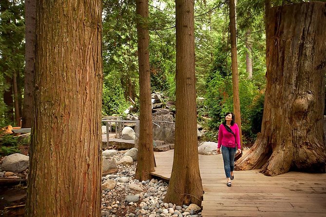 Vancouver Sightseeing and Suspension Bridge Small Group Tour - Stanley Park: a 40-minute taste of Vancouver’s green heart