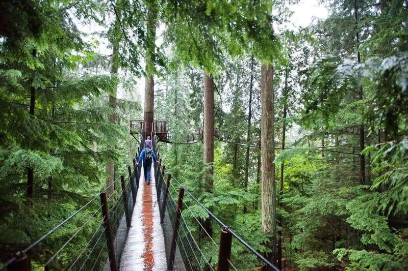 Vancouver: Small Group Tour w/Capilano & Grouse Mtn Lunch - Capilano Suspension Bridge adds the thrill