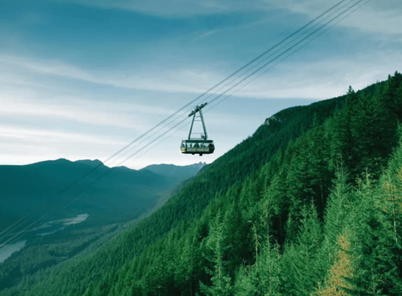 Vancouver: Small Group Tour w/Capilano & Grouse Mtn Lunch - Who should choose this Vancouver tour?