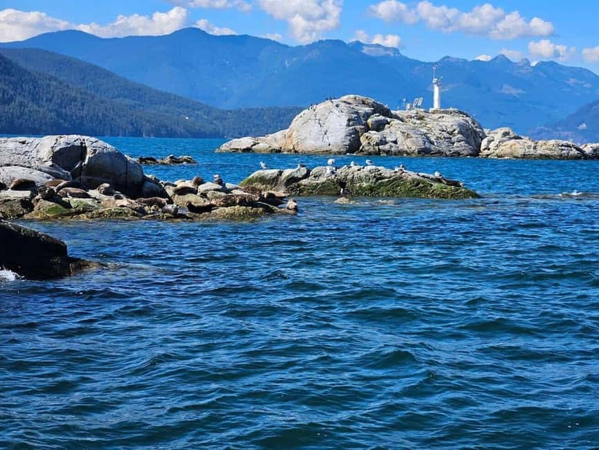 Vancouver: Snorkel, Kayak, and Seal Adventure Boat Tour - From Horseshoe Bay into Howe Sound