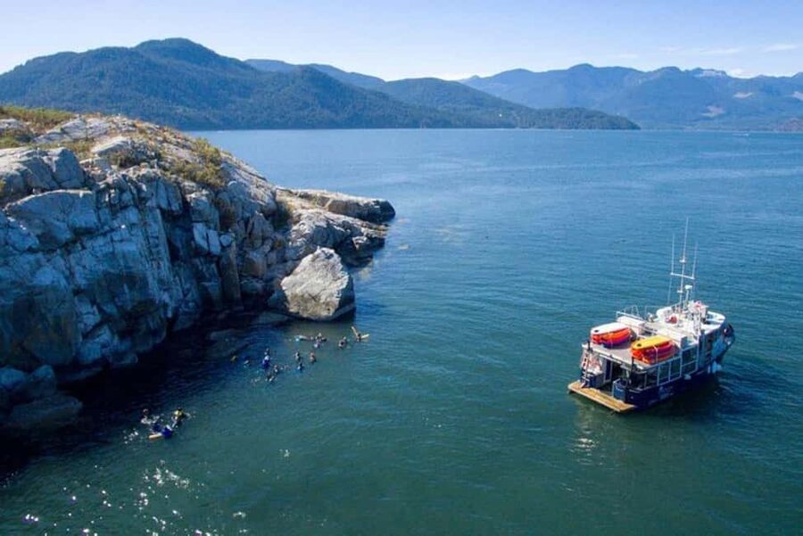 Vancouver: Snorkel, Kayak, and Seal Adventure Boat Tour - Weather, visibility, and equipment concerns