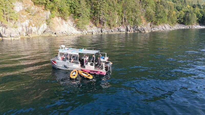 Vancouver: Snorkeling Seals Kayaking Scenic Boat Tour - Who will enjoy this most?