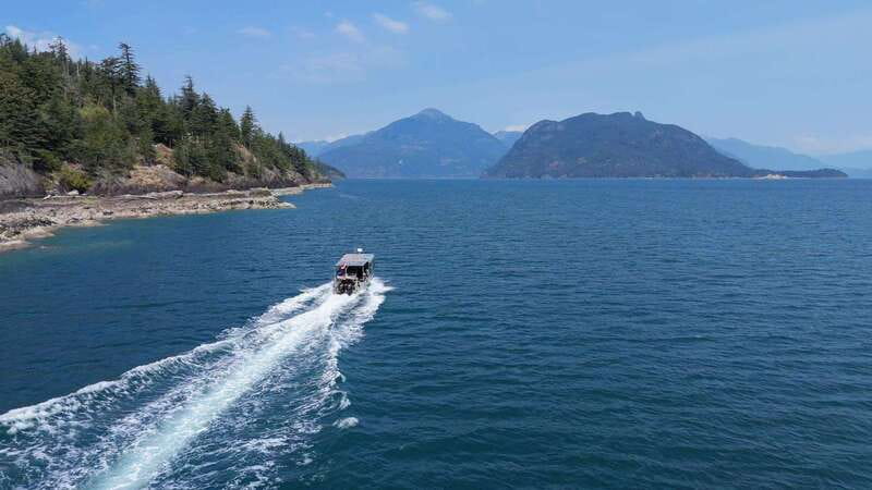 Vancouver: Snorkeling Seals Kayaking Scenic Boat Tour - Meeting the seals in summer