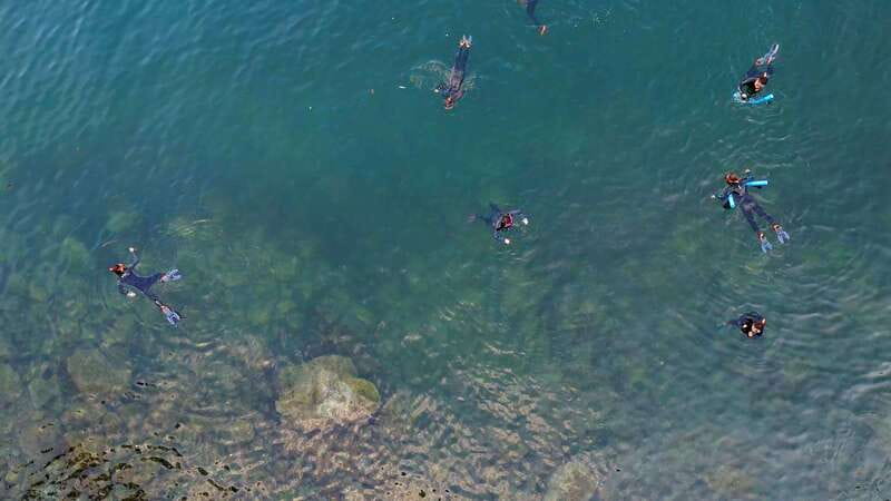Vancouver: Snorkeling Seals Kayaking Scenic Boat Tour - Is $98 a fair price?