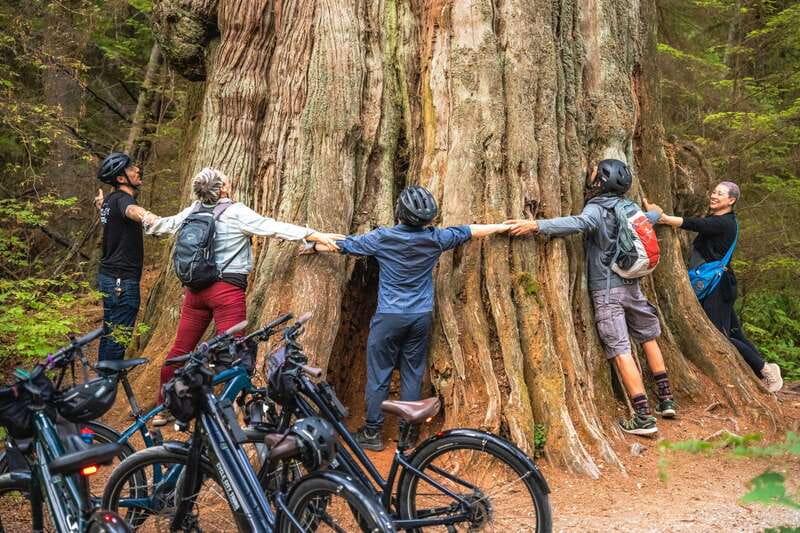 Vancouver: Stanley Park Bicycle Tour - Key points before you book