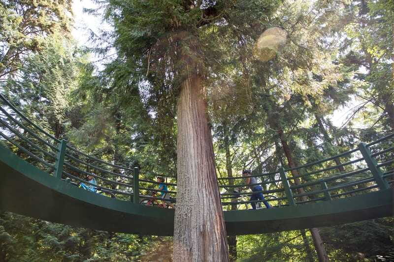 Vancouver: Stanley Park Bicycle Tour - How difficult is the 12-kilometre ride?