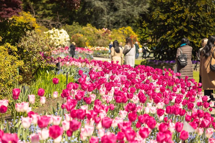 Vancouver to Victoria Seaplane Day Trip + Butchart Gardens - Four hours to find your own Victoria