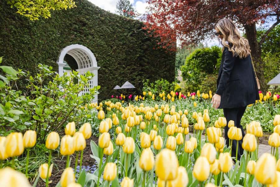 Vancouver to Victoria Seaplane Day Trip + Butchart Gardens - Practical tips for making the day work