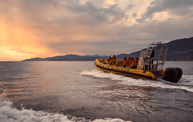 Vancouver: Waterfront Sightseeing Tour - City and Harbour - Is $80 a fair price for 90 minutes?