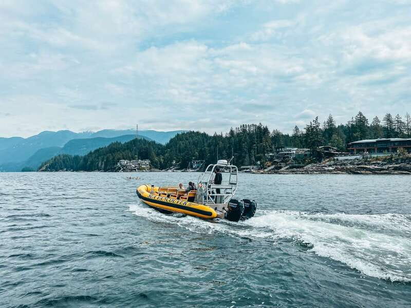 Vancouver: Waterfront Sightseeing Tour - City and Nature - Key Details Before You Go
