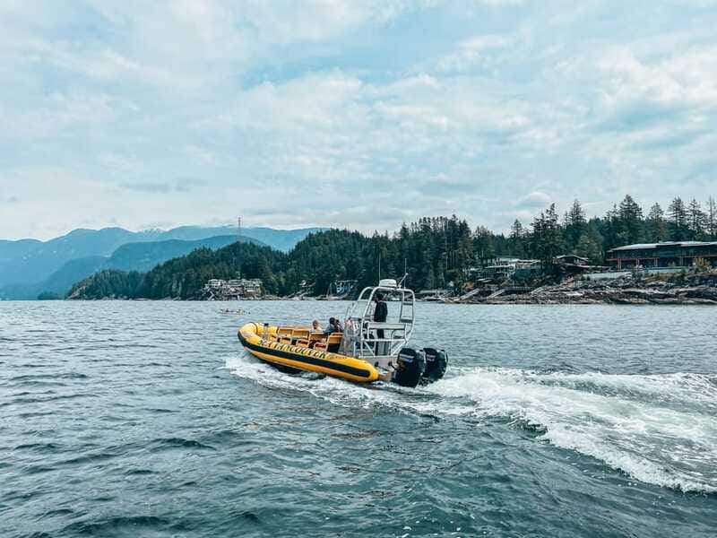 Vancouver: Waterfront Sightseeing Tour - City and Nature - Is $80 a Fair Price?