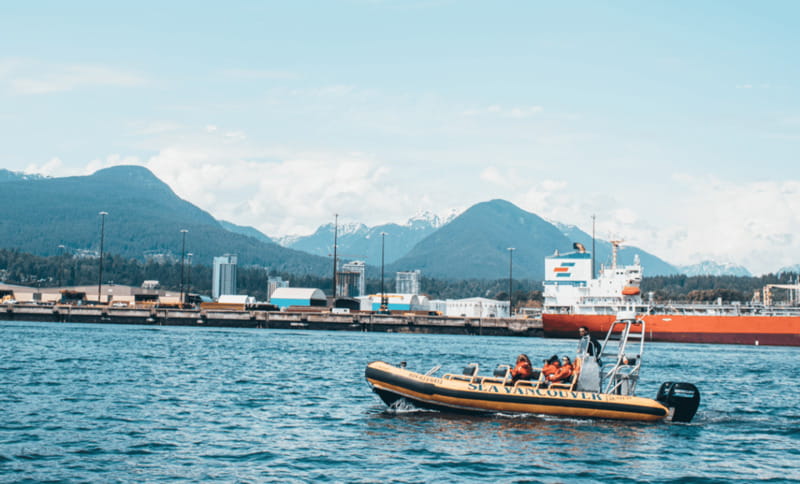 Vancouver: Waterfront Sightseeing Tour - City and Nature - Wildlife: What You Might See