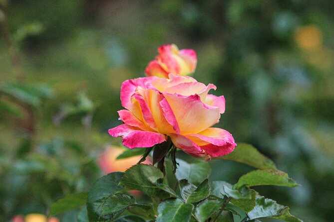 VanDusen Botanical Garden Admission Ticket - Understand the price and the time limit