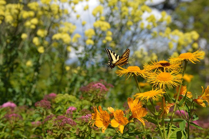 VanDusen Botanical Garden Admission Ticket - Accessibility and comfort notes