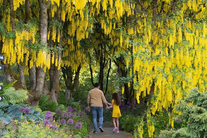 VanDusen Botanical Garden Admission Ticket - Follow the paths through 7,500 species