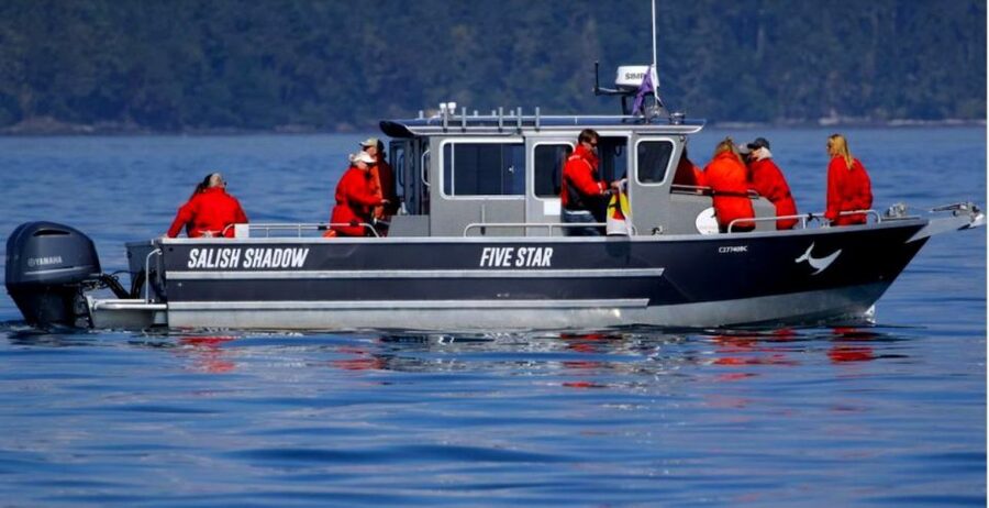 Victoria, BC: 3-Hour Ultimate Whale & Marine Wildlife Tour - Who will enjoy this trip most?