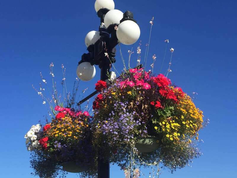 Victoria, BC: City Tour and Butchart Gardens Combo Tour - Van comfort and pickup details