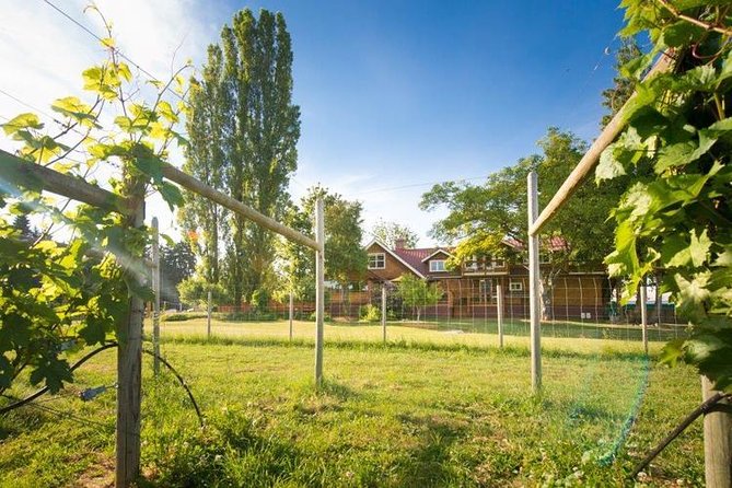 Victoria Boutique Winery Tour - Deep Cove Winery brings a second wine perspective