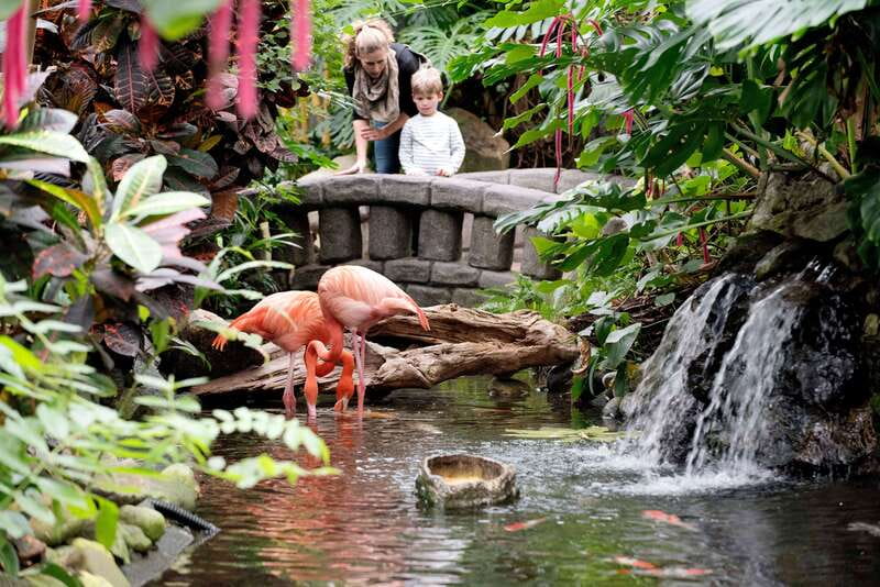 Victoria: Butterfly Gardens Admission Ticket - Key points to know before you go