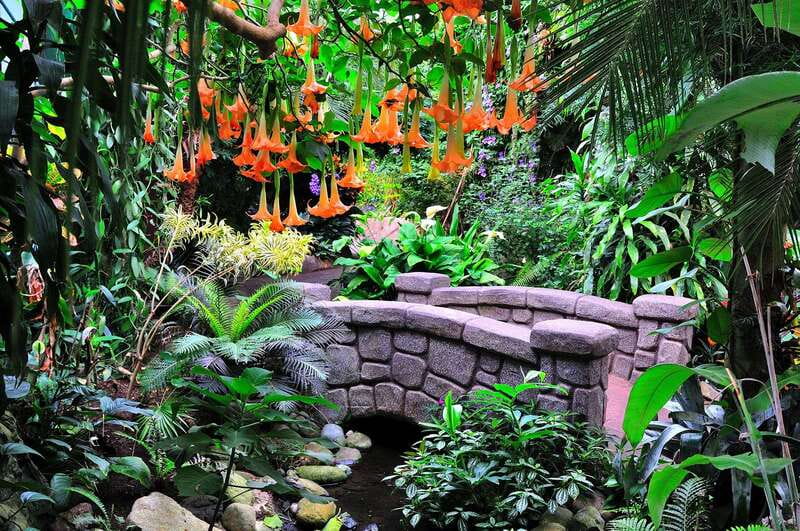 Victoria: Butterfly Gardens Admission Ticket - Entering Victoria’s enclosed tropical garden