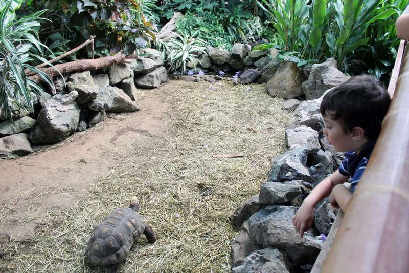 Victoria: Butterfly Gardens Admission Ticket - Is $15 a fair price?