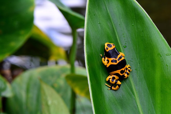 Victoria Butterfly Gardens Ticket - Who will enjoy Victoria Butterfly Gardens most?