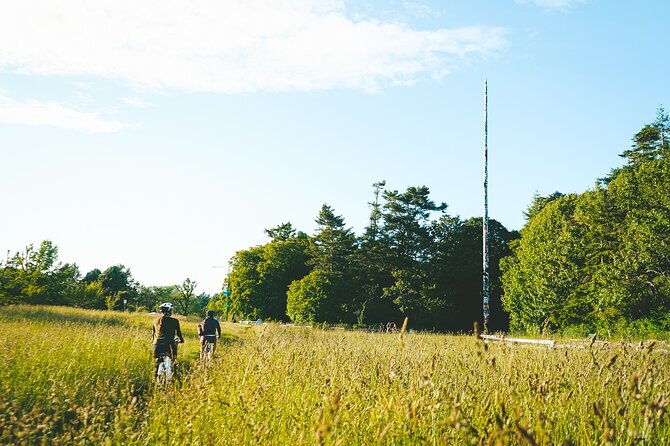 Victoria City Highlights 3 Hour Bike Tour, eBike Upgrade Avail. - What the $79 price gives you