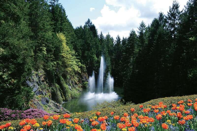 Victoria: City Highlights and Butchart Gardens Tour - Beacon Hill Park Gives You a Taste of Victoria