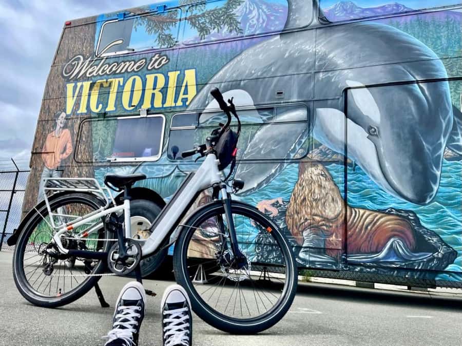Victoria City Highlights Bike Tour - Castle Hoods & Legends - Chinatown, Fan Tan Alley, and Victoria’s layered past