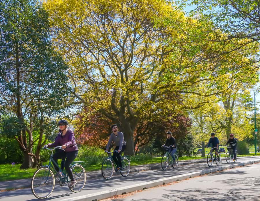 Victoria City Highlights Bike Tour - Castle Hoods & Legends - Fernwood brings a different side of Victoria