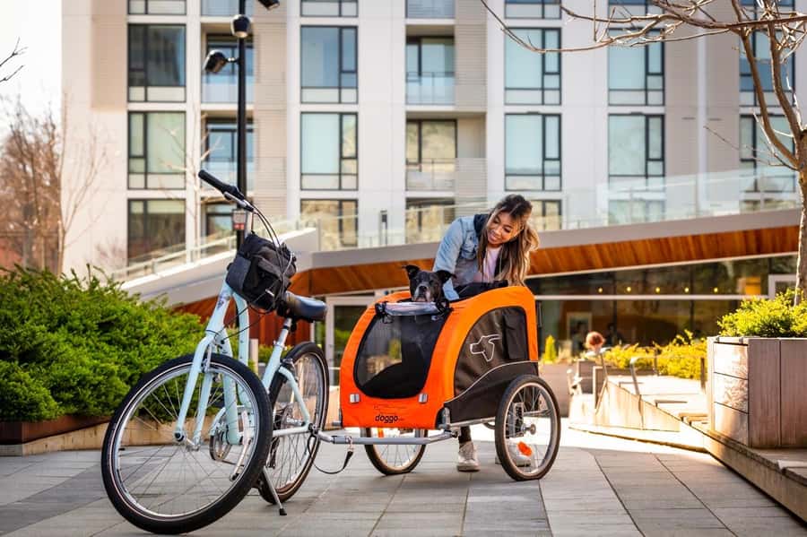 Victoria City Highlights Bike Tour - Castle Hoods & Legends - The guides make the route feel personal