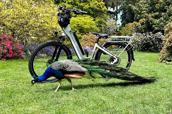 Victoria City Highlights E-Bike Tour - Hoods & Legends - What the guides add to the ride