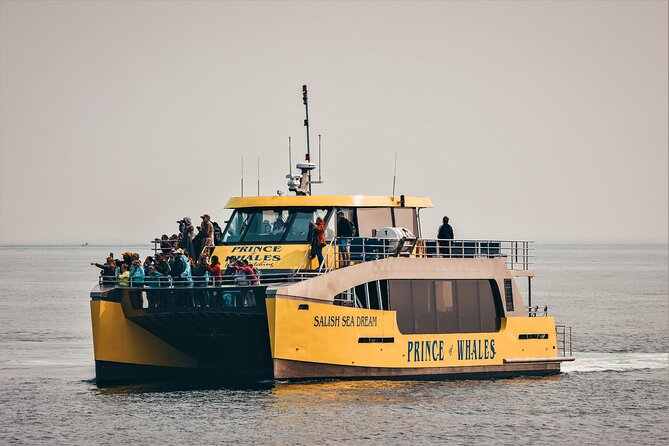 Victoria Half-Day Whale Watching Adventure with Free Photos - Weather, safety, and practical limits