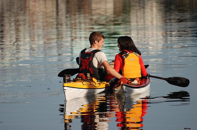 Victoria Harbour Kayak Tour - Who will enjoy this Victoria Harbour tour