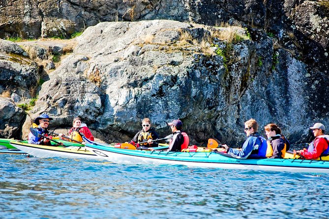Victoria Harbour Kayak Tour - Victoria’s waterfront from a kayak