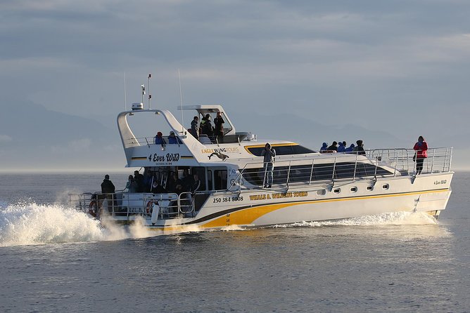 Victoria Marine Wildlife Tour - Choosing Between an Open Boat and a Catamaran