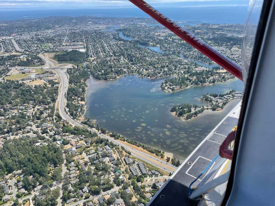 Victoria Panorama Scenic Seaplane Tour - The cabin, seating, and view problem