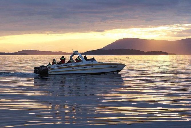 Victoria Sunset Whale-Watching Cruise - Is $138 a fair price?