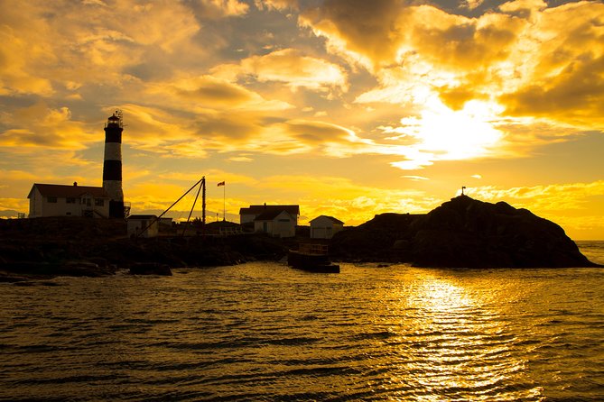 Victoria Sunset Whale-Watching Cruise - Booking details, cancellation, and useful planning notes