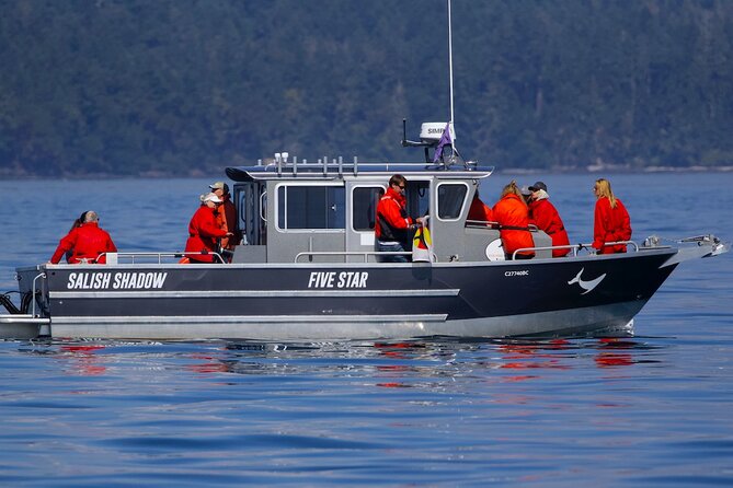 Victoria Ultimate Marine Whale & Wildlife Tour - What $134.02 buys you