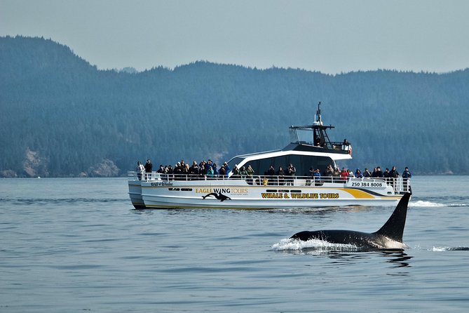 Victoria Whale and Wildlife Cruise - Cruising the Salish Sea for whales