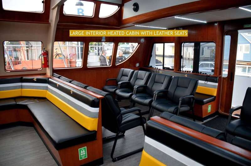 Victoria: Whale and Wildlife Semi-Covered Boating Tour - Key details before you book